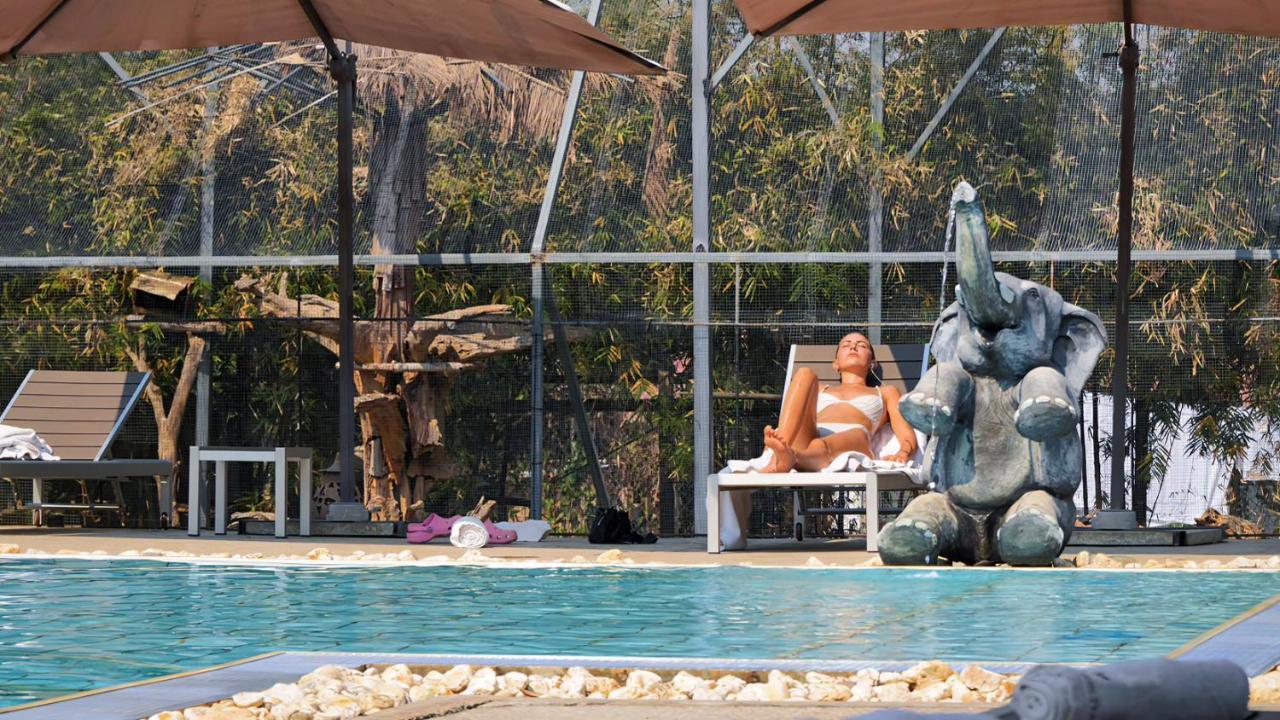 Luang Prabang Chanon Hotel מראה חיצוני תמונה